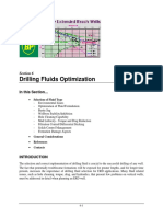 6 - Drilling Fluids Optimization