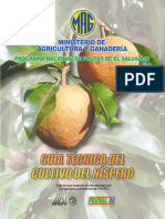Guia Cultivo Nispero.pdf