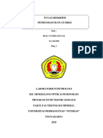 Cover Deskripsi Analisa Plagioklas