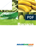 NDJ Banana Booklet Span 130311F PDF
