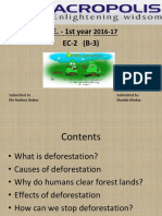 A Presentation On Deforestation