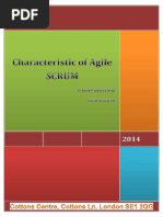 agilescrum.docx
