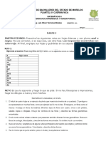 Evidencia 1 - MATE II - TERCER PARCIAL