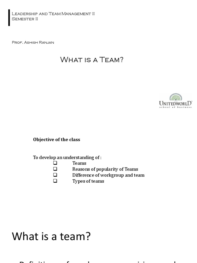 Team Dynamics for Business Students | PDF