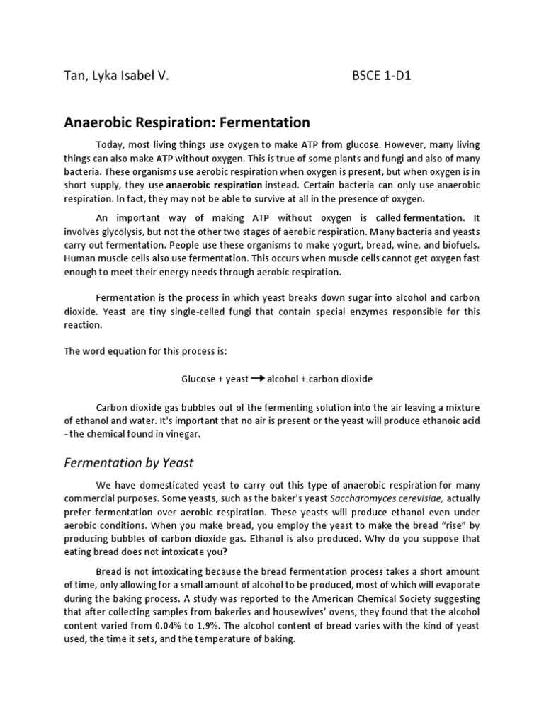 Alcoholic Fermentation in Yeasts and Bacteria | PDF | Cellular ...