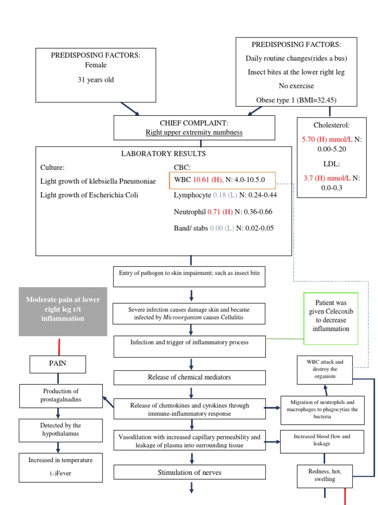 5.70 (H) Mmol/l: Moderate Pain at Lower Right Leg R/T Inflammation ...