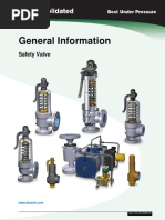 Safety Valve General Information PDF