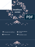 stratificare sociala prezentare.pptx