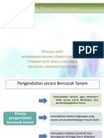 DPT Presentasi