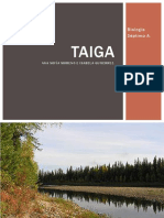 Bioma Taiga