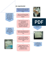 Procedimiento Experimental 5