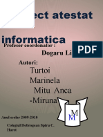 Atestat Informatica