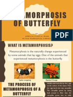 Metamorphosis of Butterfly: BY: Apriliacyntiairani Mithanurhafizasiregar