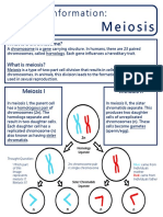 Meiosis: General Information