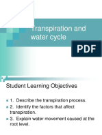 Transpiration and Water Cycle in Pnats