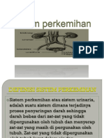 Sistem Perkemihan