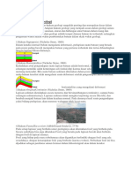 Hukum Stratigrafi