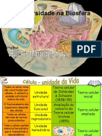 A Célula - Estrutura e Função PDF