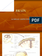 1. the Brain and Cranial Nerves