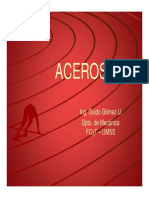 CAPI ACEROS - FINAL1.pdf