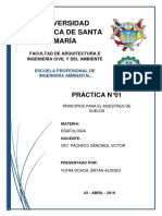 Informe N°01