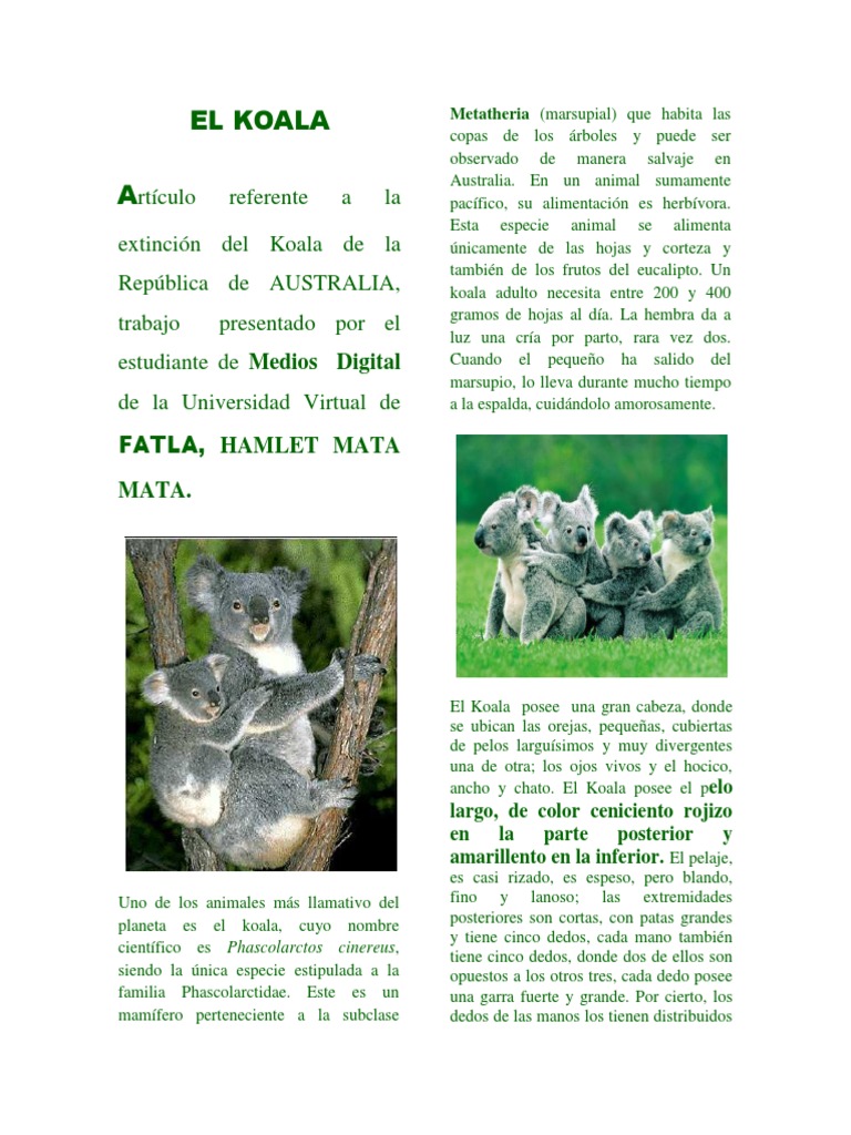 El Koala | PDF | Coala | Organismos