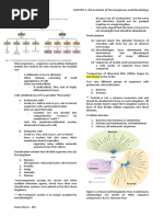 Microbiology Notes for 1st Year Students | PDF | Virus | Yeast