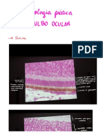 histologia prática do globo ocular