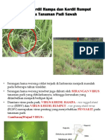 Penyakit Kerdil Hampa Dan Kerdil Rumput