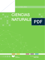 CCNN_COMPLETO (1) (2).pdf