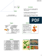 Cultura-da-Physalis.pdf