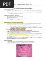 MIP resumo geral.docx
