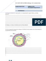 Actividad Practica Embriologia Fecundacion-segmentacion 2009[1]