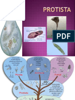 PROTISTA SEBAGAI MAKHLUK HIDUP