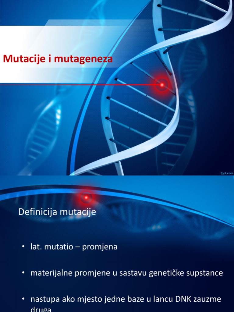 Biologija Mutacije | PDF