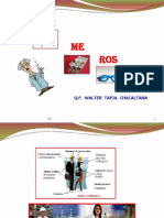 Polimero PDF