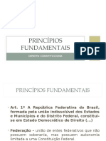 01_Princípios Fundamentais_Cristiana Costa.ppt