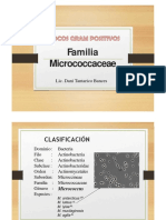 1 Familia Micrococcaceae