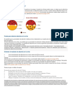 Eco Cardiogram A