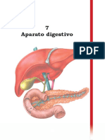 AparatoDigestivo (1).pdf
