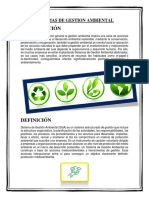 SISTEMAS DE GESTION AMBIENTAL - INFORME.docx