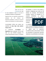 1) Panorama de la agricultura argentina.docx