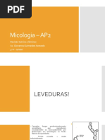 Micologia – AP2