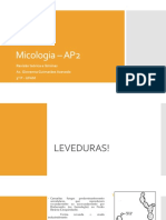 Micologia – AP2