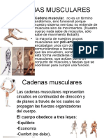 Cadenas-musculares (1).pdf