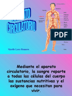 Aparato Circulatorio 26157 PDF