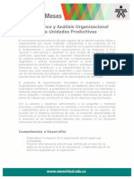 Diagnostico Analisis Org Unidas PDF