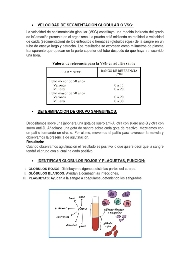 Velocidad de Segmentación Globular o VSG | PDF | Hematopoyesis | Sangre
