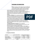 PROGRAMA DE MARKETING.docx