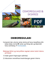 E. Osmoregulasi - Ekskresi